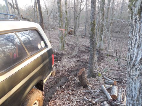 1983 Ford Bronco - This turned out to be slimier than it looked; especially on the 2nd pass. I slid to the trees, then winched forward about 20'.