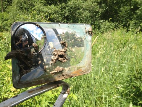 1987 Ford Bronco - This vehicle's side mirror is heavily covered in mud, suggesting it has been off-roading.