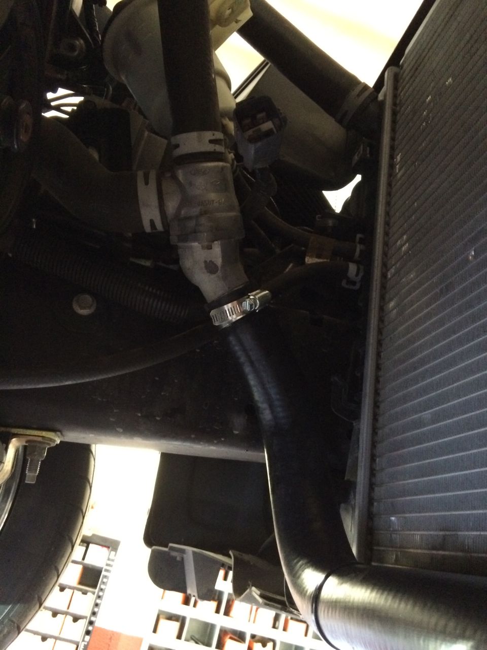 Engine bay hoses connected to a radiator, with clamps visible