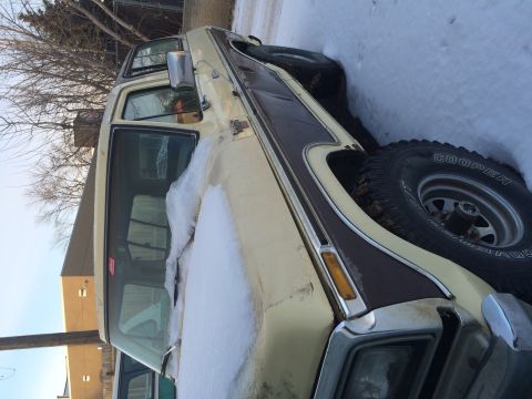 1978 Ford Bronco photo