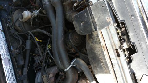 1990 Ford Bronco - Engine bay of a 1990 Ford Bronco, showing hoses, fan shroud, and other components.