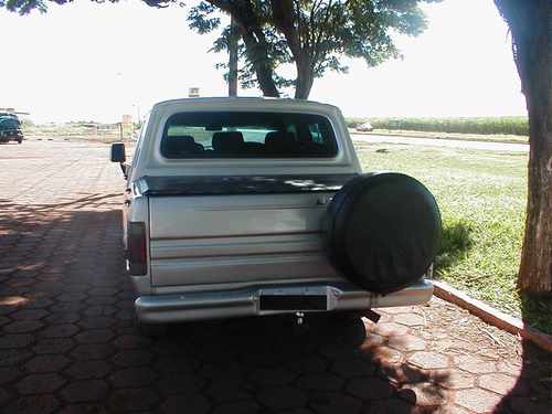 Silver pickup truck rear view with spare tire mounted on tailgate. Some trees and a grassy field in background