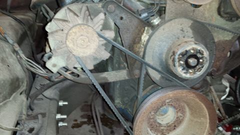 1978 Ford Bronco - Close-up view of an engine's alternator and associated pulleys with drive belts.