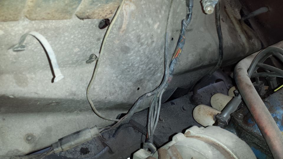 Close-up of engine bay wiring harness with frayed insulation and connectors