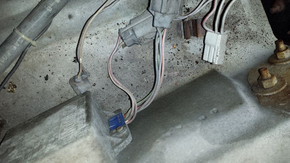 Close-up of engine wiring harness with multiple connectors and wires