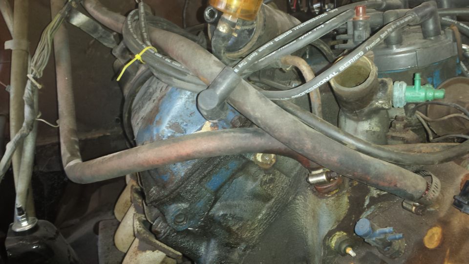Close-up of engine components, hoses, and wiring. Water pump housing visible