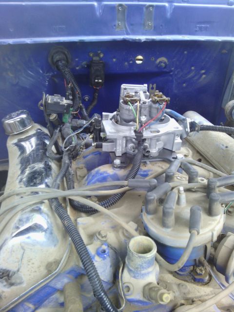 1978 Ford Bronco - The engine bay features a carburetor and distributor with visible wiring and hoses.