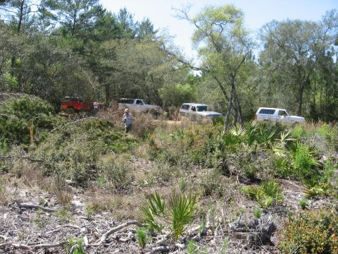 1994 Ford Bronco - Several off-road vehicles are parked in a wooded area.