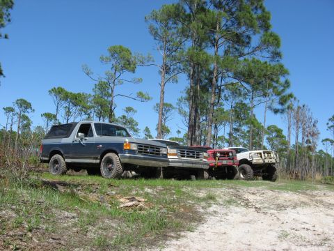 1994 Ford Bronco - A lineup of four-wheel-drive vehicles, including a 1994 Ford Bronco, are parked on a dirt track surrounded by pine trees.