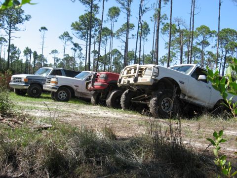 1994 Ford Bronco - Several trucks are parked off-road in a wooded area with tall pine trees under a clear blue sky.