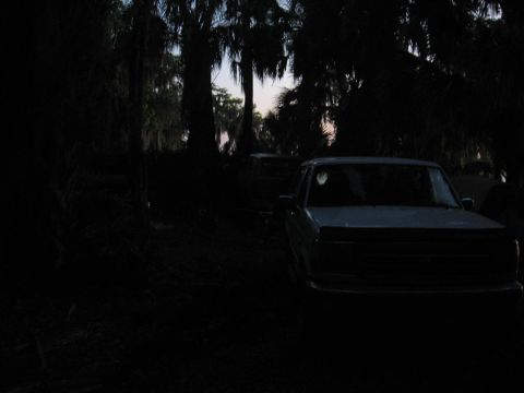 1994 Ford Bronco - A Ford truck is parked in a dark, wooded area with palm trees silhouetted against the twilight sky.