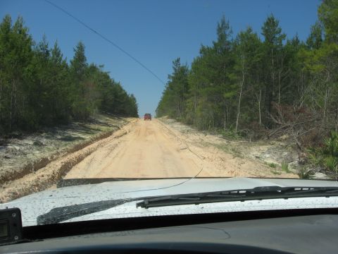 1994 Ford Bronco - Driving down a sandy road in a wooded area with another vehicle ahead.