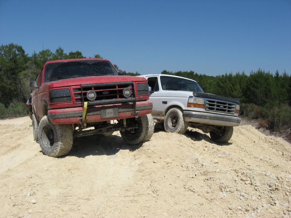 red and white Ford Broncos on a dirt hill, trees in background