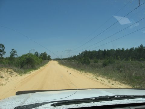 1994 Ford Bronco - View from inside a vehicle driving on a dirt road under a clear blue sky.