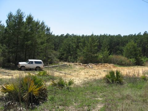 1994 Ford Bronco - A white 1994 Ford Bronco is seen parked on a dirt road in a wooded area.