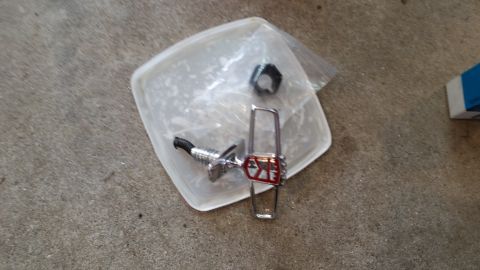 1991 Ford LTD Crown Victoria - A chrome emblem with red accents and a threaded base sits on a plastic container.
