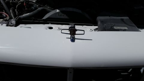 1991 Ford LTD Crown Victoria - Close-up view of a white car hood, revealing the hood ornament and parts of the engine bay.