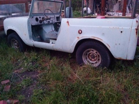 1991 Ford Bronco - This light blue convertible SUV, missing its doors, sits in overgrown grass.