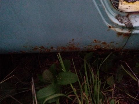 1991 Ford Bronco - Rust is visible along the bottom edge of a vehicle's body panel, with vegetation growing around it.