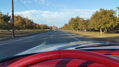 1963 Ford Falcon - View from the driver's seat on a rural road, with a distant vehicle and trees lining the way.