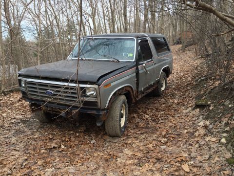 1986 Ford Bronco - This 1986 Ford Bronco sits on a dirt path surrounded by trees and fallen leaves.