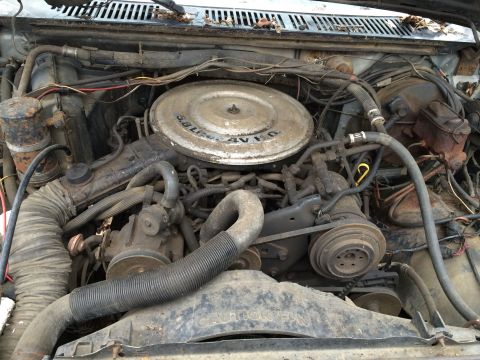 1986 Ford Bronco - The engine bay of a 1986 Ford Bronco, its 5.8L 4V V8 engine, is shown in this photo.