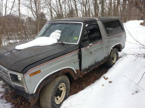 1986 Ford Bronco photo