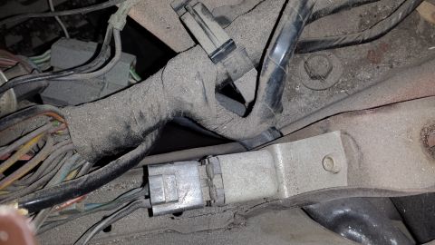 1978 Ford Bronco - Close-up of a dusty vehicle wiring harness with multiple connectors and wires.