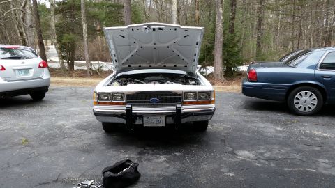 1991 Ford LTD Crown Victoria - White 1991 Ford Crown Victoria LTD parked with hood open, showing the engine bay. Another car is visible to the right.