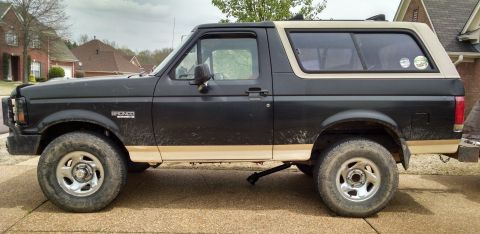 1983 Ford Bronco - It's springtime, and there's a hot little Mustang that keeps passing by...