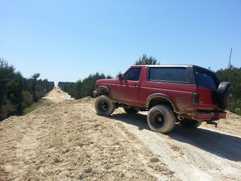 1995 Ford Bronco - 1995 Ford Bronco navigates a sandy track through a wooded area under a clear blue sky.