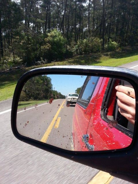 1995 Ford Bronco - A white pickup truck is seen in the side mirror of a red vehicle on a tree-lined road.