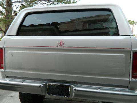 1979 Ford Bronco - Rear view of a 1979 Ford Bronco showing pinstripe detail on the tailgate.
