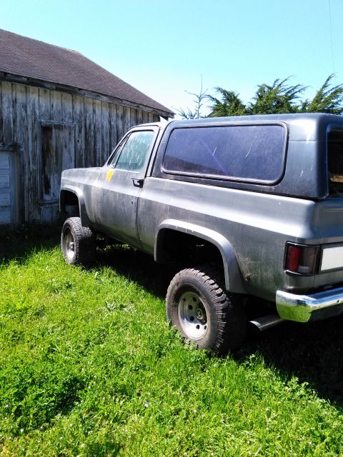 1991 Ford Bronco - This SUV is parked in a grassy area beside a weathered wooden structure under a clear blue sky.