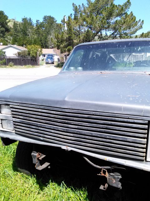 1991 Ford Bronco - The horizontal grille bars and headlight shape suggest this is an 80s Ford truck, not a 1991 Bronco.