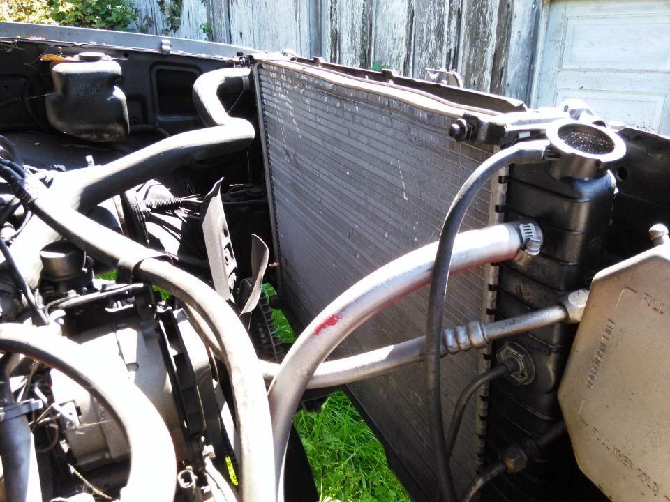 Radiator and hoses in engine bay
