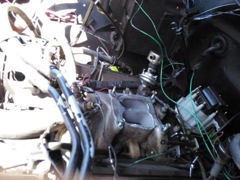 1991 Ford Bronco - Close-up view of engine components including the distributor and intake manifold.