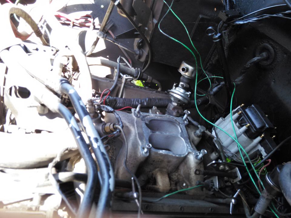 Engine bay showing distributor, intake manifold, and wiring