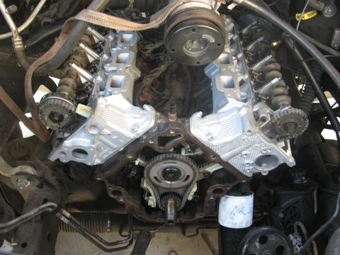 1994 Ford Bronco - Close-up view of an engine's internal components, showing the timing chain and gears.