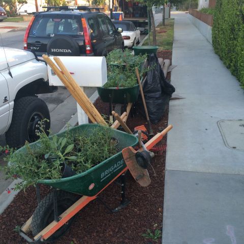 1968 Ford Mustang - Gardening supplies, including a wheelbarrow and tools, are staged on a residential sidewalk next to a mailbox and parked vehicles.