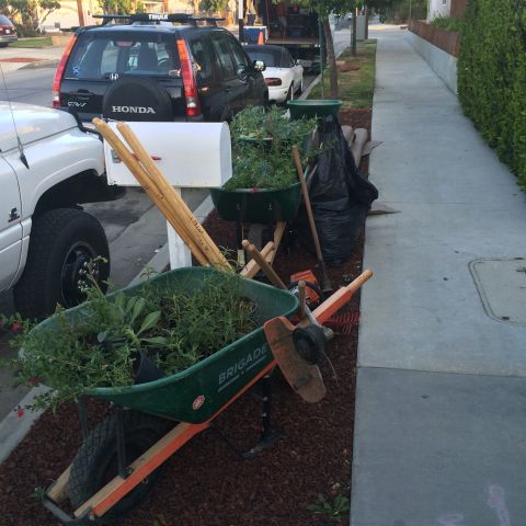 1968 Ford Mustang - Gardening supplies and a mailbox are staged on a sidewalk next to parked vehicles.
