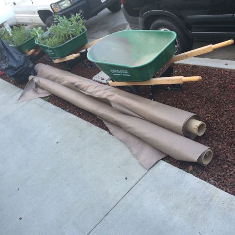 1968 Ford Mustang - Two wheelbarrows filled with plants sit next to rolls of paper on a driveway.