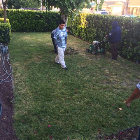 1968 Ford Mustang - Yard work is underway with lawn mowing and digging in progress.