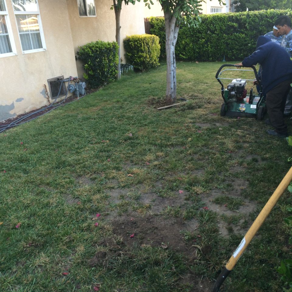 Yard with a person using a lawn aerator and another person nearby