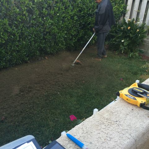 1968 Ford Mustang - Yard work in progress with a string trimmer and tape measure visible.