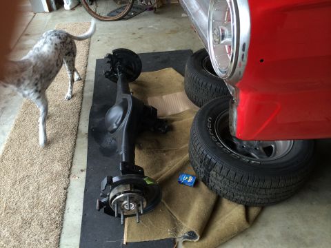 1964 Ford Fairlane - Rear axle assembly removed from a vehicle, with a dog and part of the car visible.