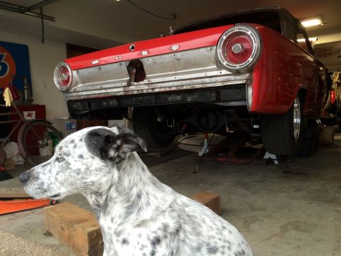 1964 Ford Fairlane - A dog sits in front of a red 1964 Ford Fairlane being worked on in a garage.