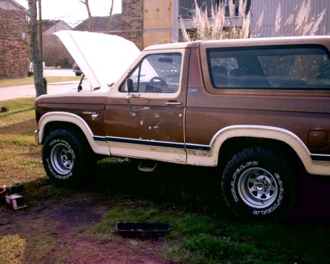 1980 Ford Bronco - A brown and tan 1980 Ford Bronco sits in a grassy area with its hood up, revealing the engine bay.