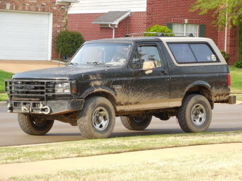 1983 Ford Bronco - Spring is here.
