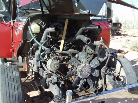 1995 Peterbilt 379 “O`Mally”